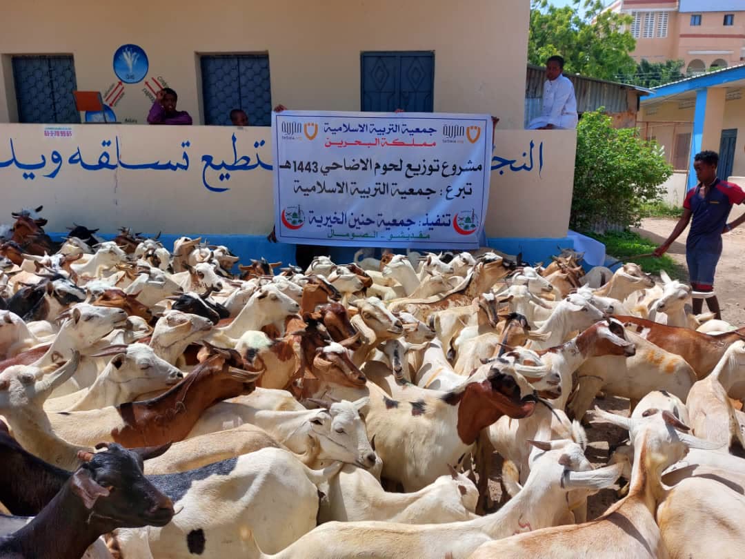 Qurbani meat distribution