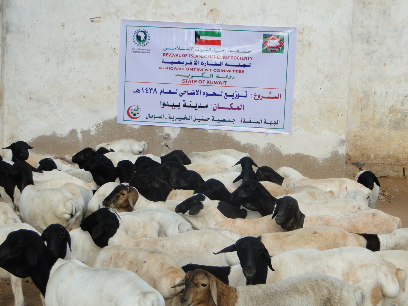 Qurbani / Udhiyah