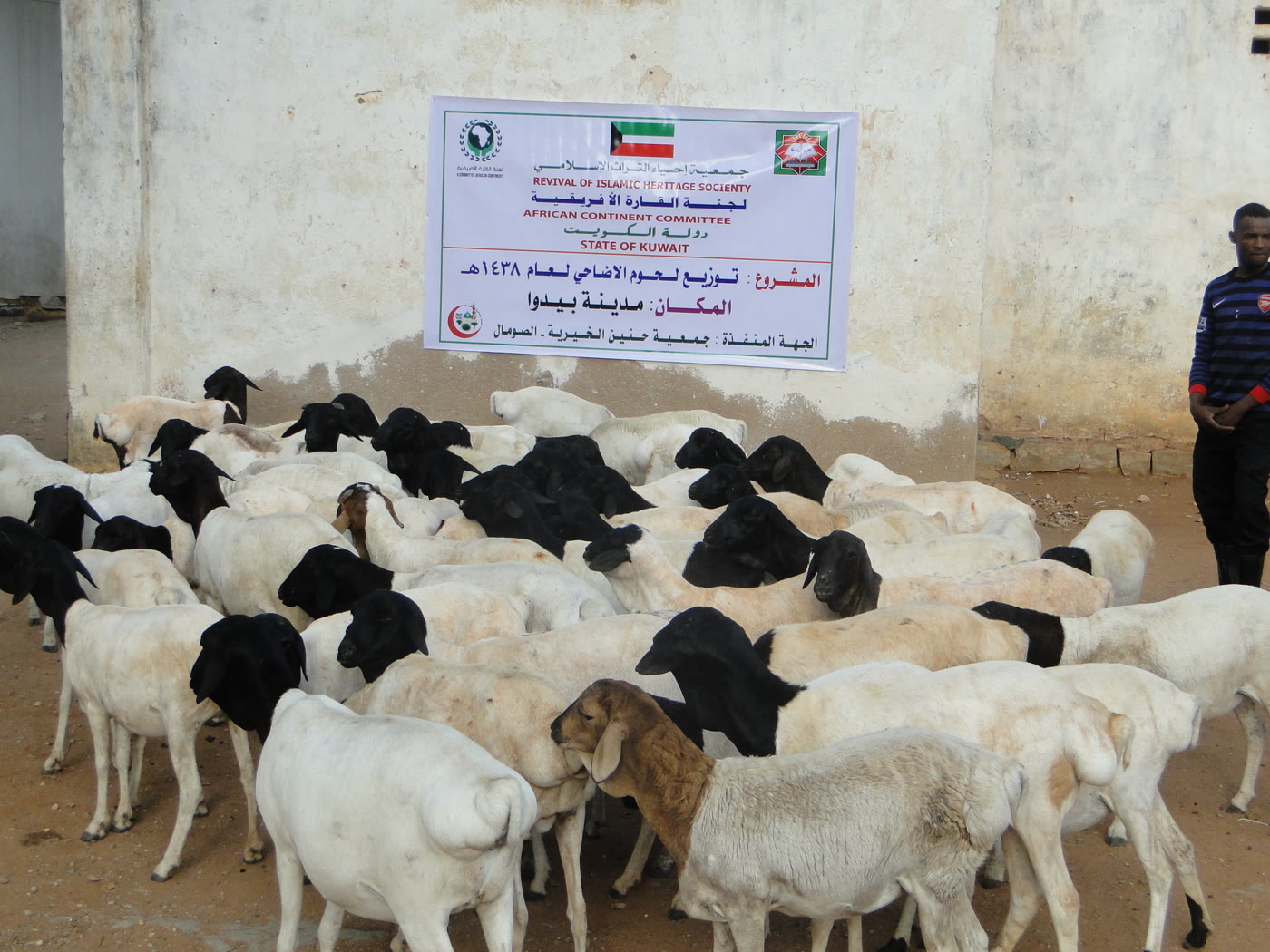Qurbani / Udhiyah