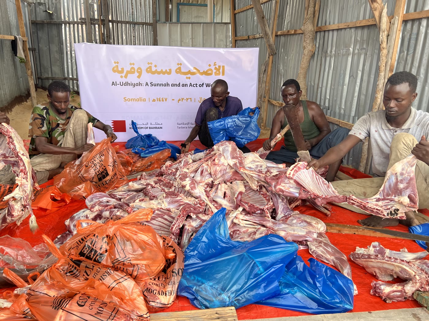 Qurbani / Udhiyah