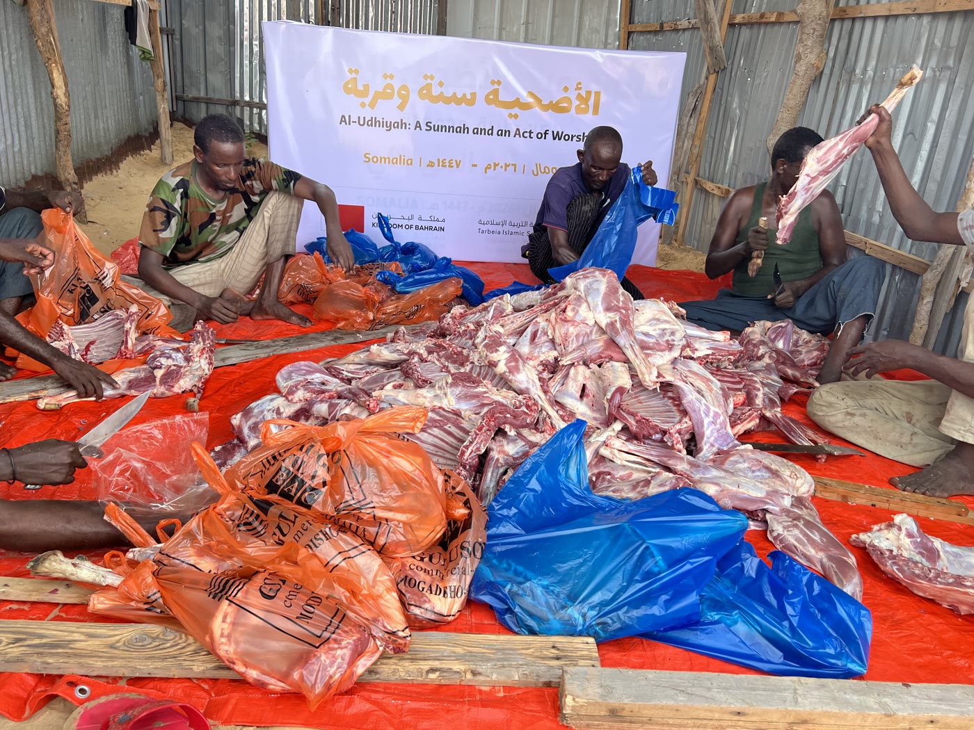 Qurbani / Udhiyah