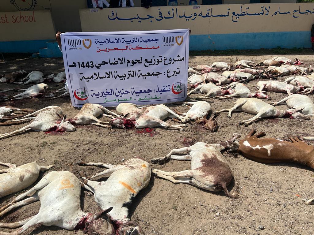 Qurbani / Udhiyah