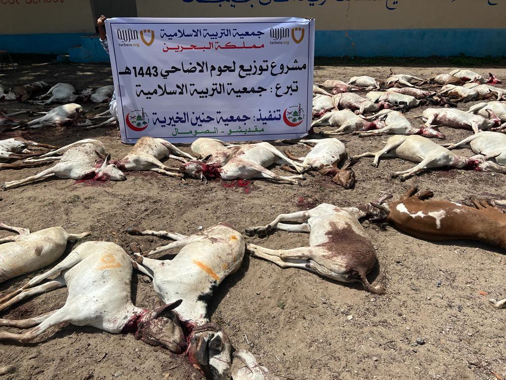 Qurbani / Udhiyah