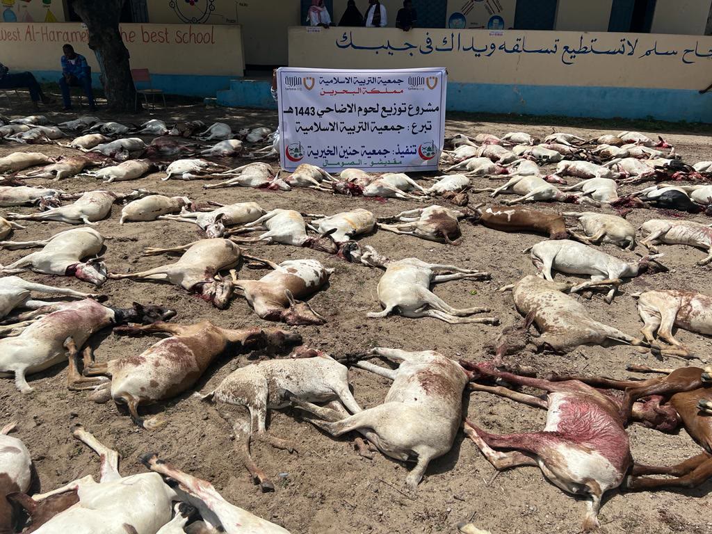 Qurbani / Udhiyah