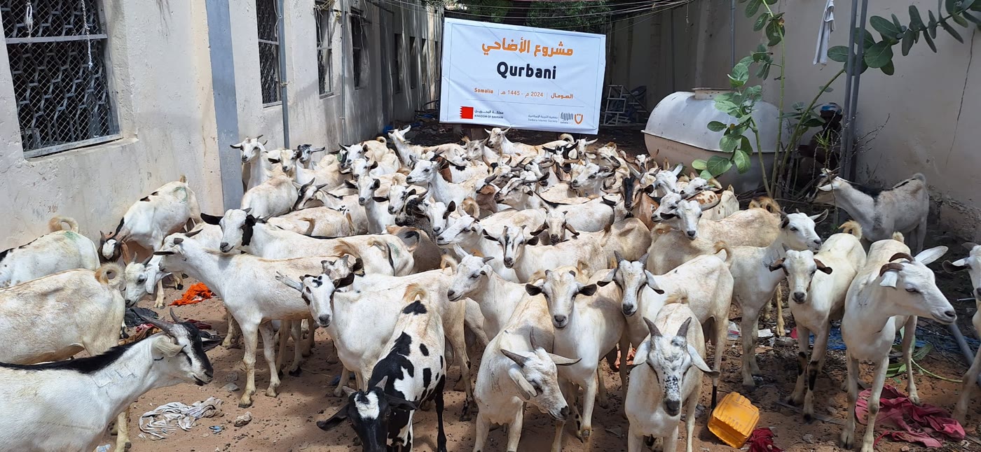 Qurbani / Udhiyah