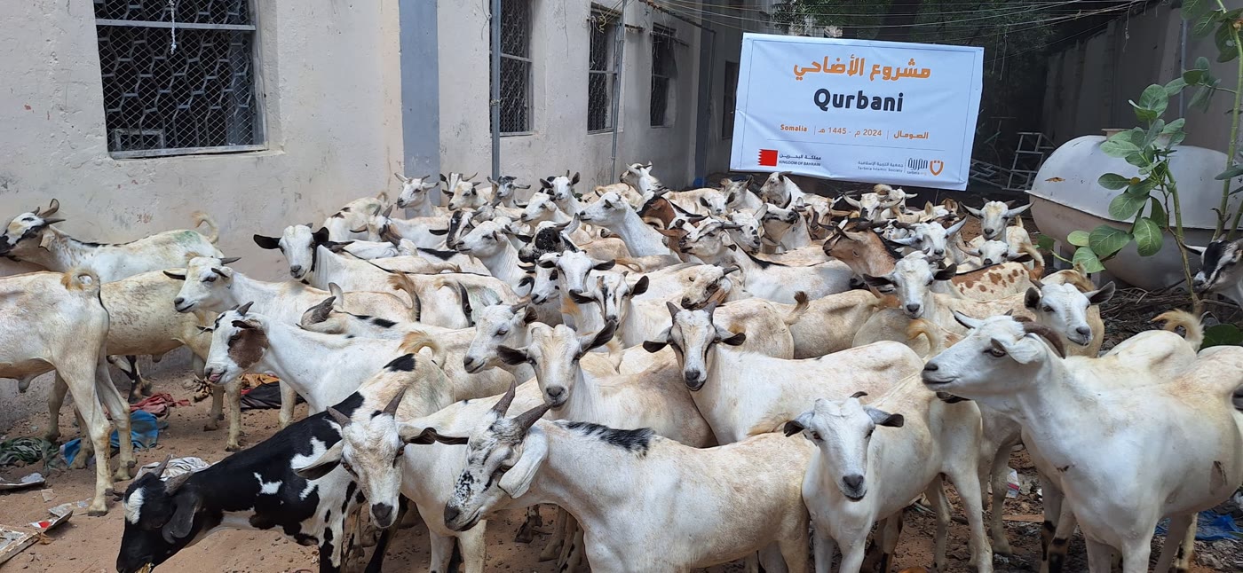 Qurbani / Udhiyah