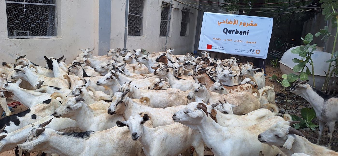 Qurbani / Udhiyah