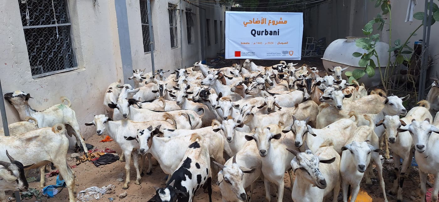 Qurbani / Udhiyah