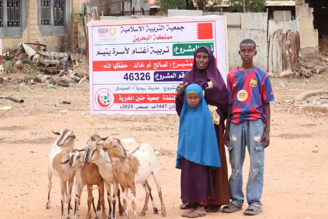 Sheep Breeding